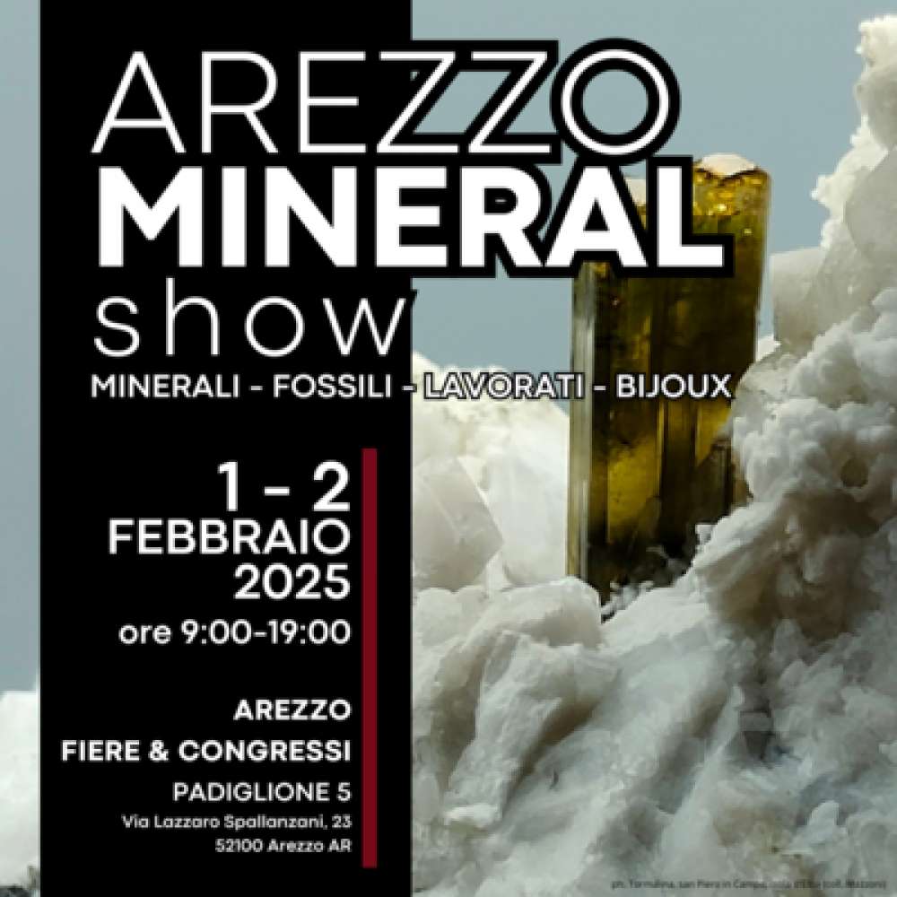 Arezzo Mineral Show - Arezzo Fiere e Congressi