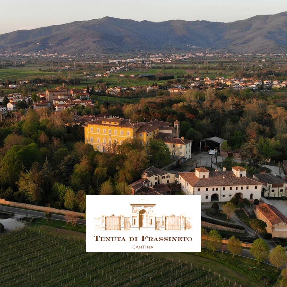 Produzione e vendita vini, visite guidate, degustazioni ed Esperienze alla Tenuta di Frassineto
