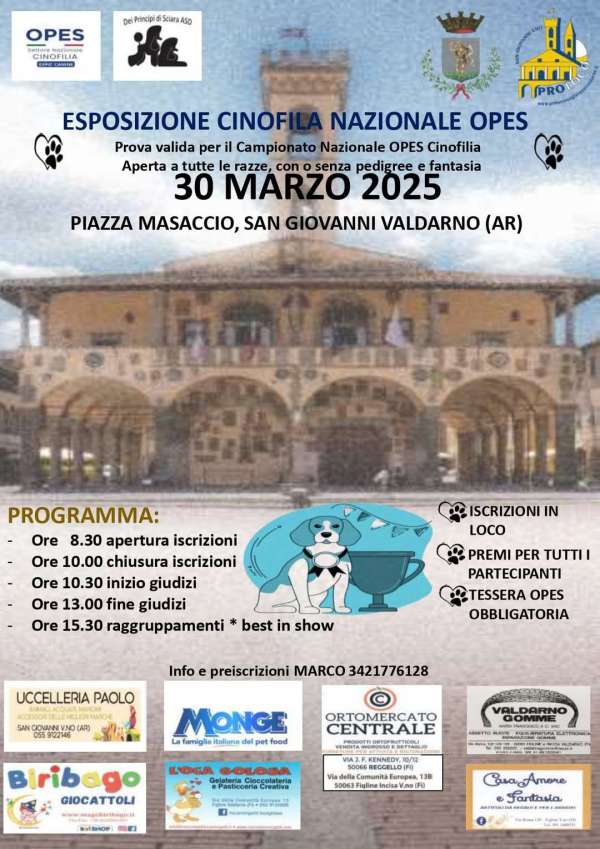 Grande evento cinofilo in Valdarno: al via l’esposizione nazionale Opes