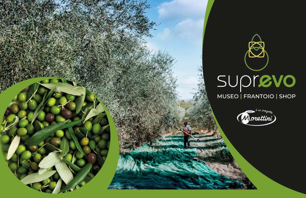 Il Museo dell’Olio SuprEvo a Monte San Savino: Il frantoio sta per tornare in attività! 